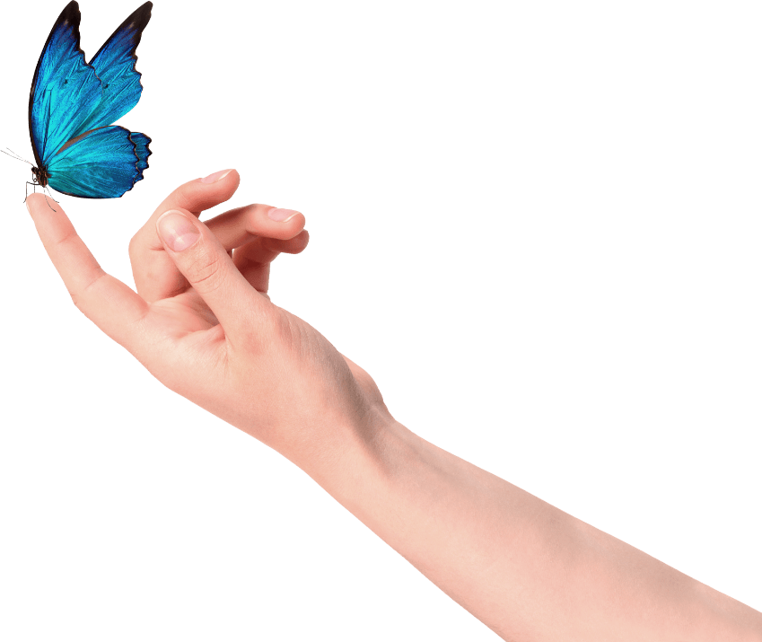 Imagem de uma mão com uma borboleta pousada no dedo indicador