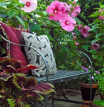 Hibisco e ixora: flores-curinga do jardim